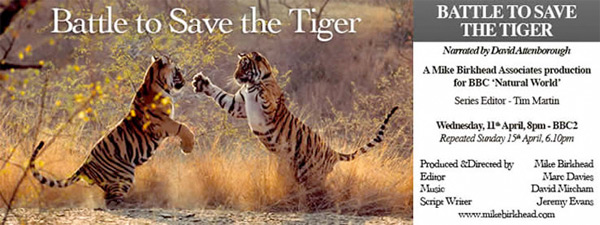 Battle to Save the Tiger