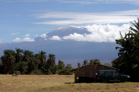 Mount kilimanjaro