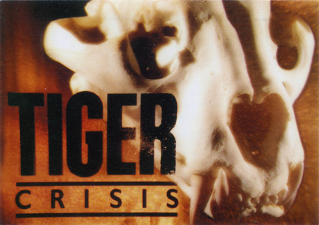 TigerCrisis